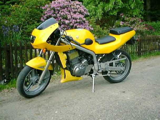 skorpiongelb.jpg (41348 bytes)