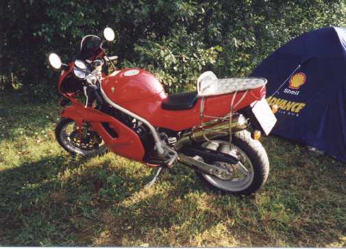 skorpionrot.jpg (31096 bytes)