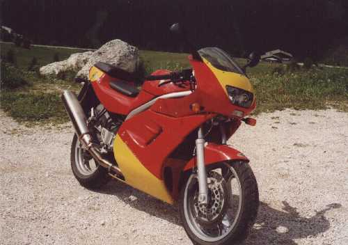 skorpionrotgelb.jpg (22904 bytes)