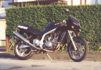 skorpionsoren.jpg (16017 bytes)