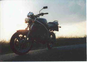 gegenlicht.jpg (10189 bytes)