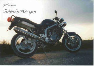 koenigin.jpg (16382 bytes)