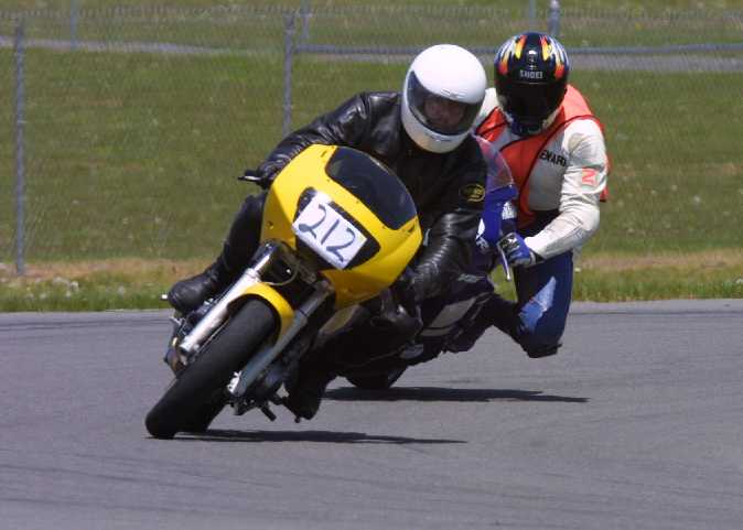 renard.jpg (28809 bytes)